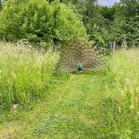 Luxury tent Glamping Vranov Na Samote U Vcelina