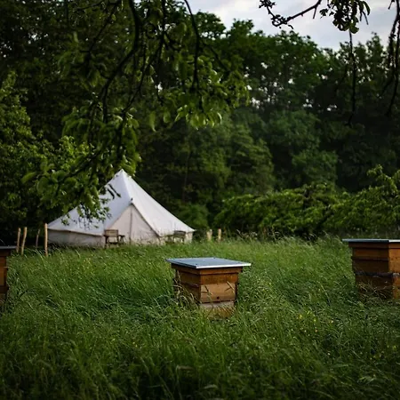 Glamping Vranov Na Samotě U Včelína * Lancov