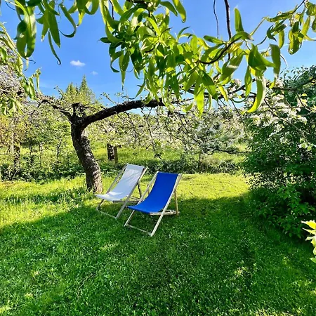 Luxury tent Glamping Vranov Na Samote U Vcelina *