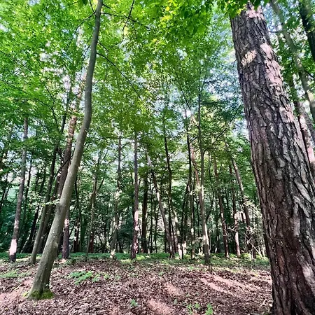 Glamping Vranov Na Samote U Vcelina Lancov
