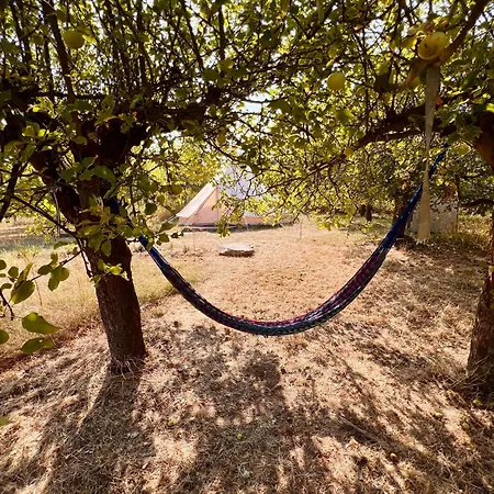 Glamping Vranov Na Samote U Vcelina *